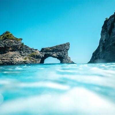 黑龙江扎龙湿地“护送”近5万只候鸟南迁