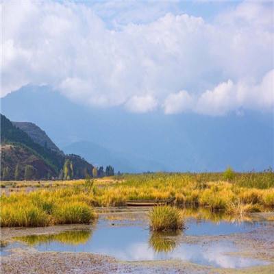 俄战机在巴伦支海上空对挪威侦察机实施伴飞