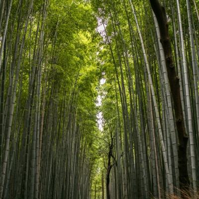 昌平法院“双诉双融”共治机制推行逾一年，调解纠纷773件